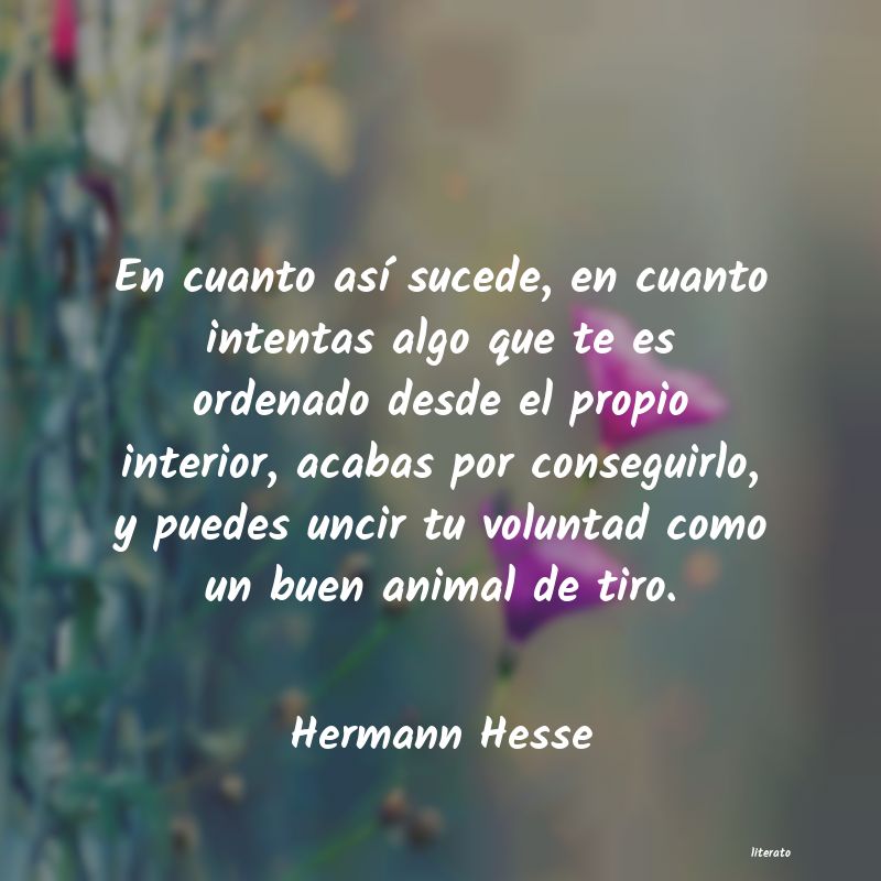 Frases de Hermann Hesse