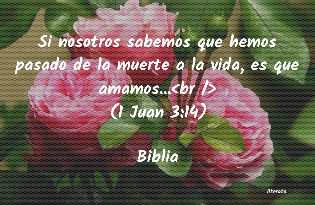 Frases de Biblia