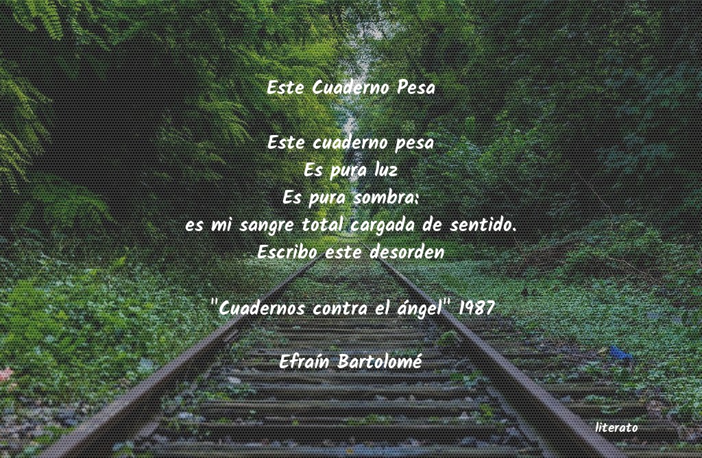 frases de EfraÃn Bartolomé