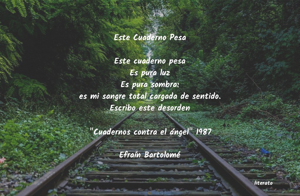 Frases de Efraín Bartolomé