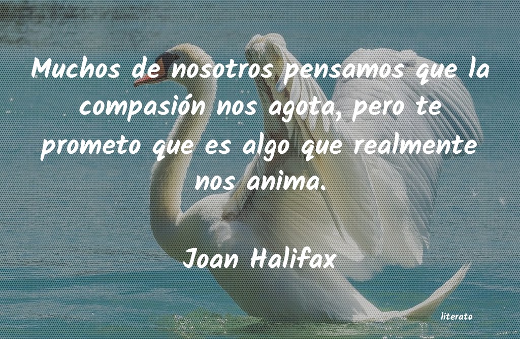 frases de Joan Halifax