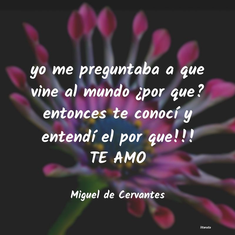 Frases de Miguel de Cervantes