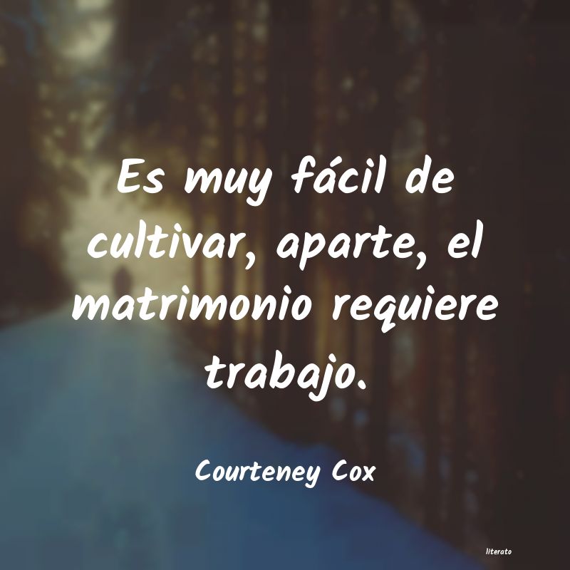 frases de Courteney Cox