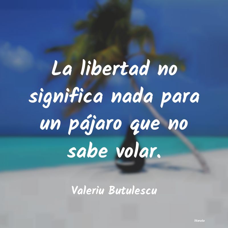 Frases de Valeriu Butulescu