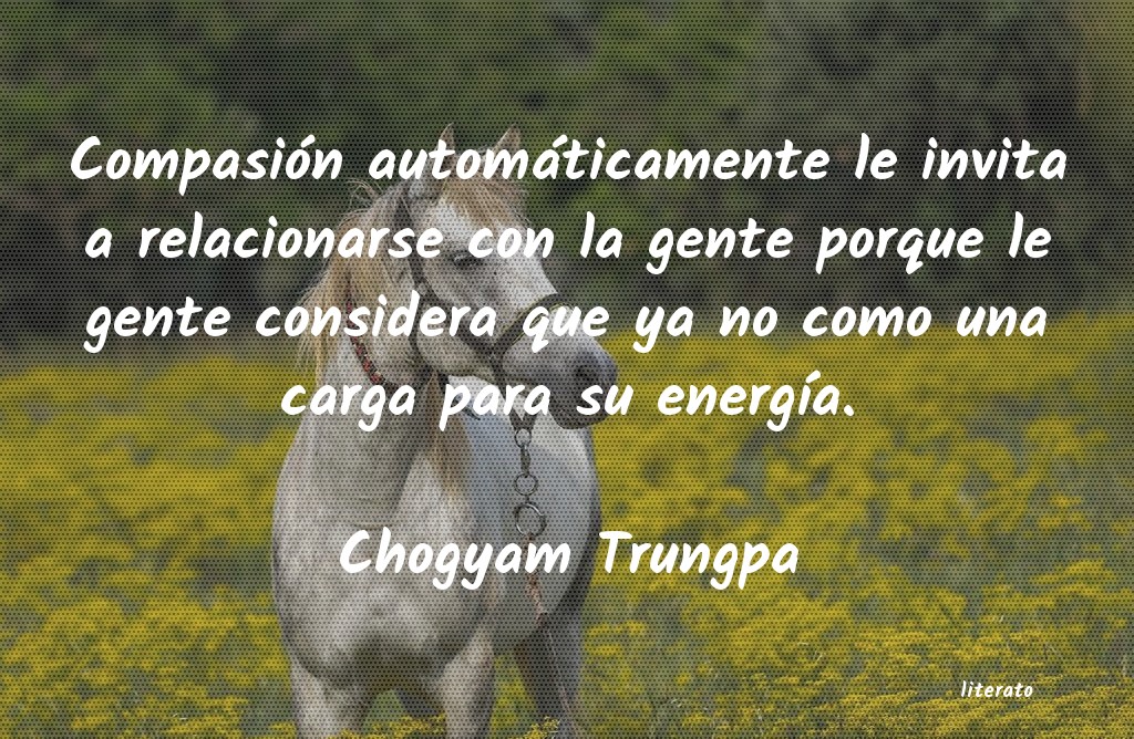 Frases de Chogyam Trungpa