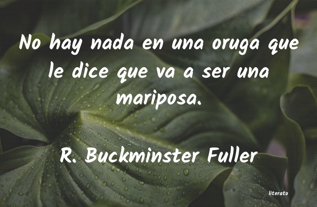 frases de R. Buckminster Fuller