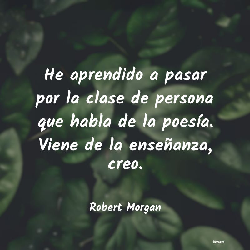 Frases de Robert Morgan