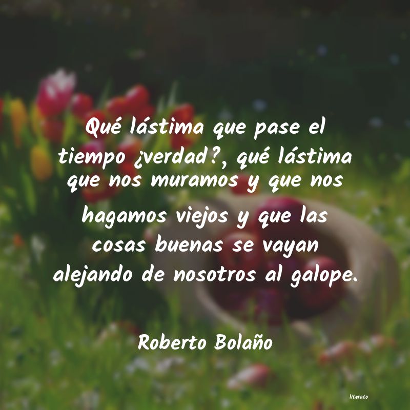 Frases de Roberto Bolaño