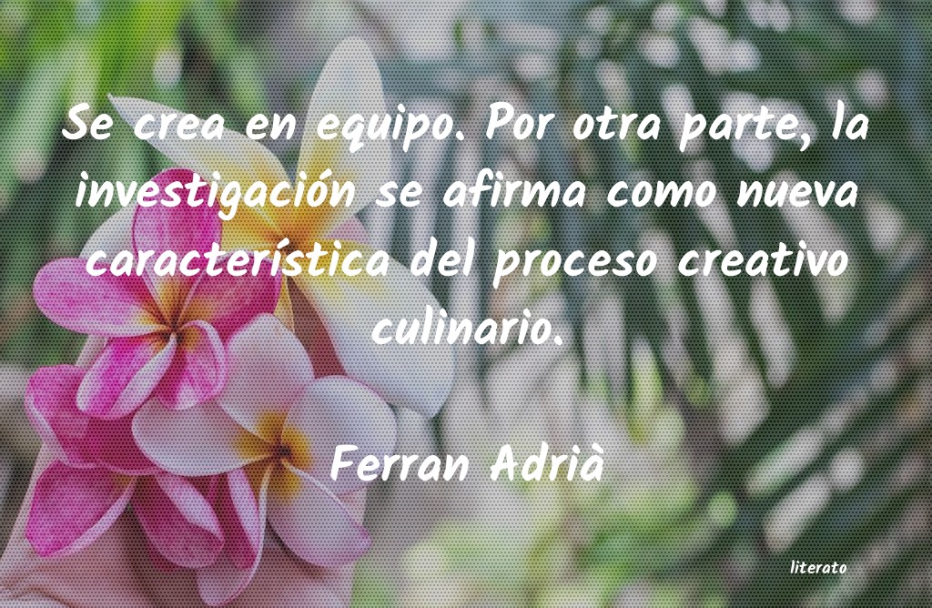 frases de Ferran AdriÃ