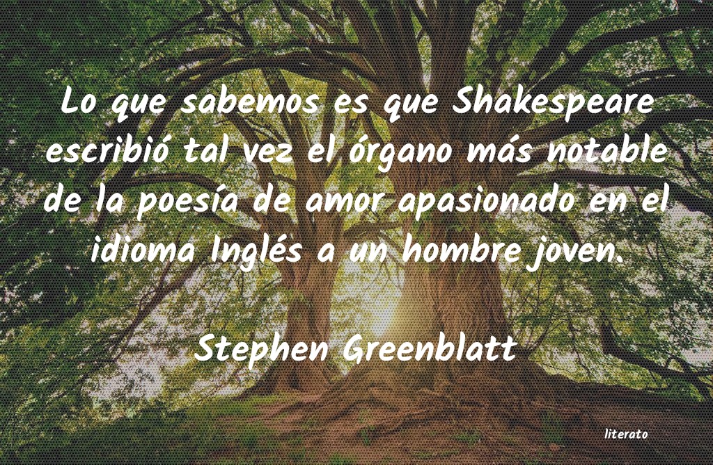 frases de Stephen Greenblatt