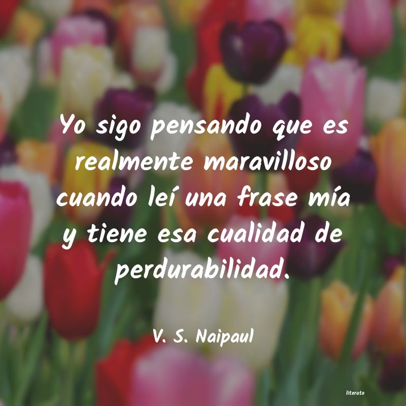 frases de V. S. Naipaul