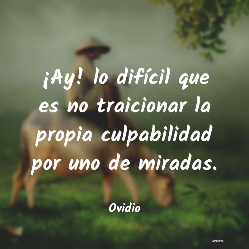 Frases de Ovidio