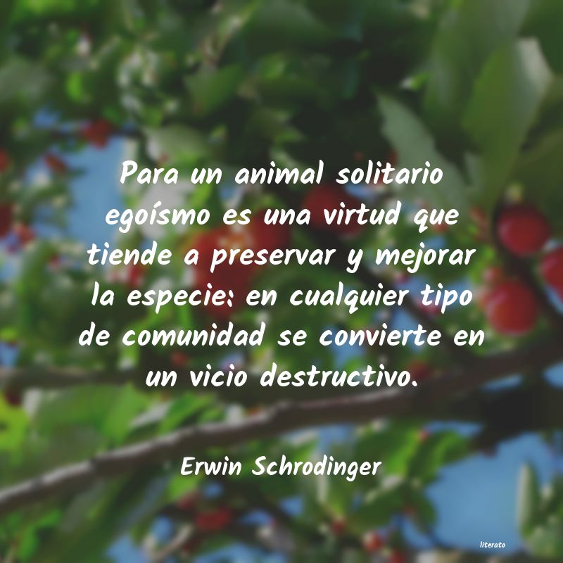 frases de Erwin Schrodinger