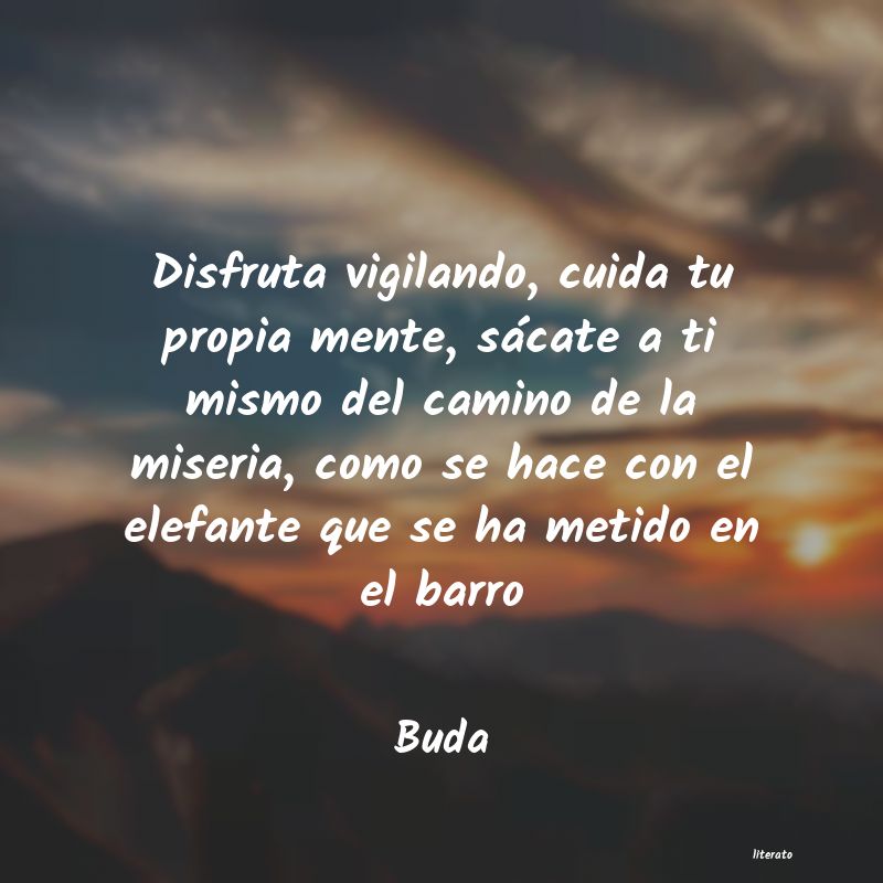 Frases de Buda