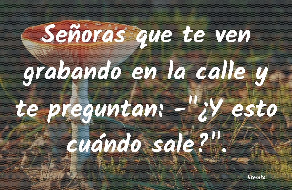 frases