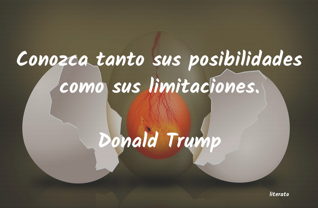 Frases de Donald Trump