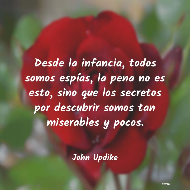 Frases de John Updike