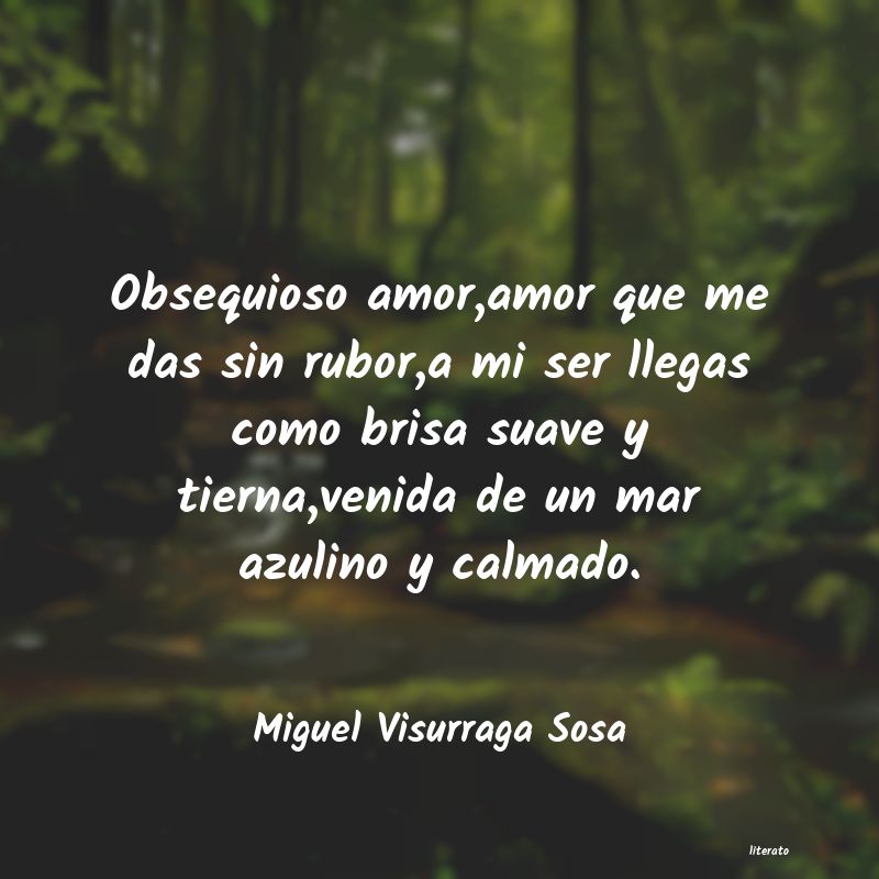 Frases de Miguel Visurraga Sosa