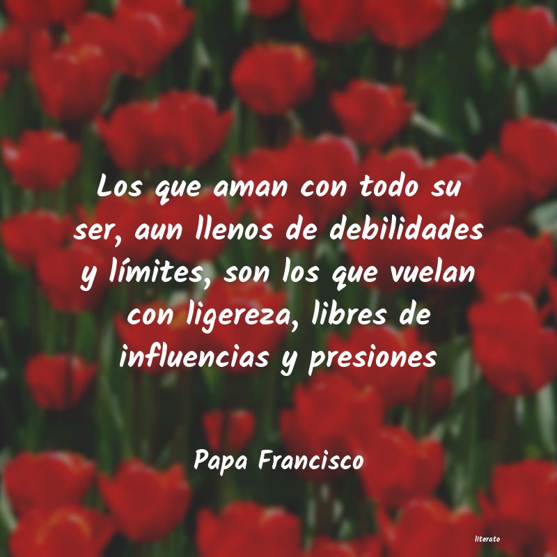 frases de Papa Francisco