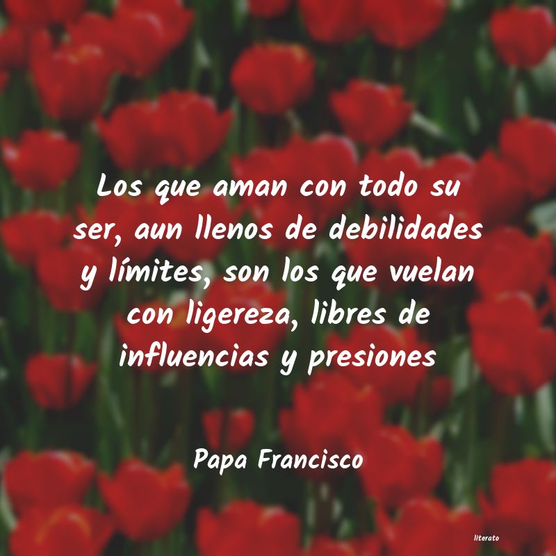 Frases de Papa Francisco