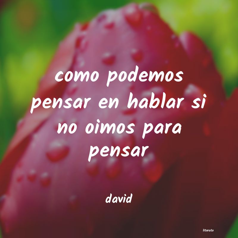 Frases de david