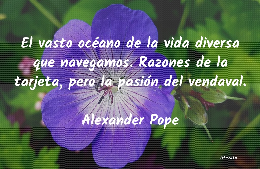 Frases de Alexander Pope