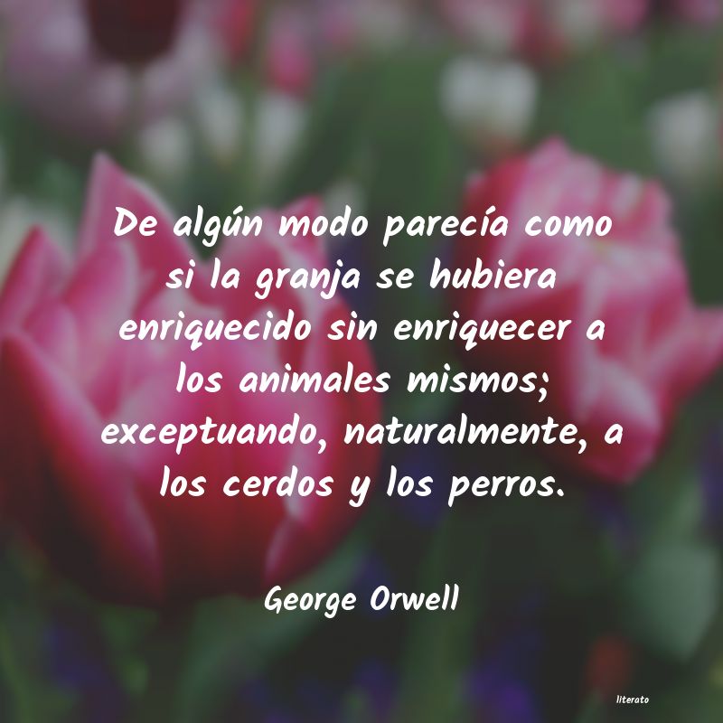 frases de George Orwell