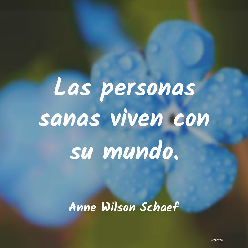 Frases de Anne Wilson Schaef