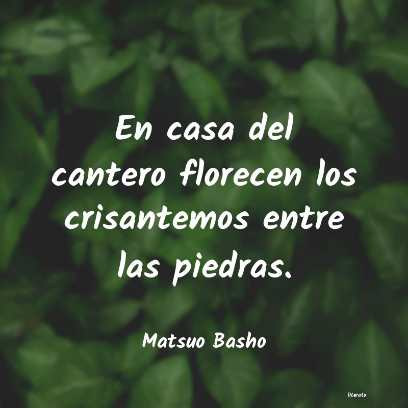 Frases de Matsuo Basho