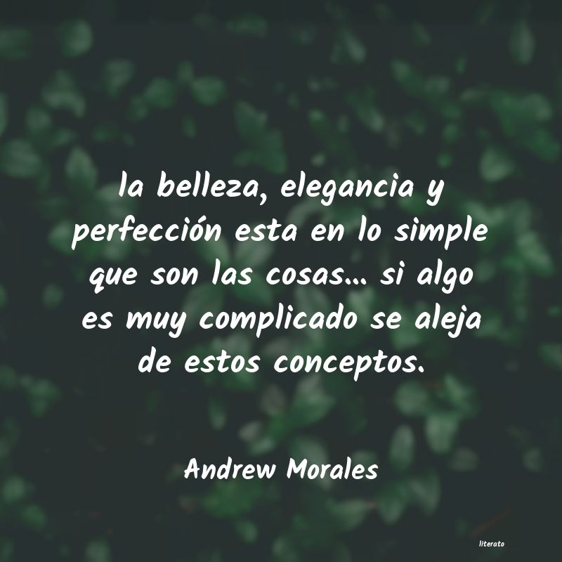 Frases de Andrew Morales