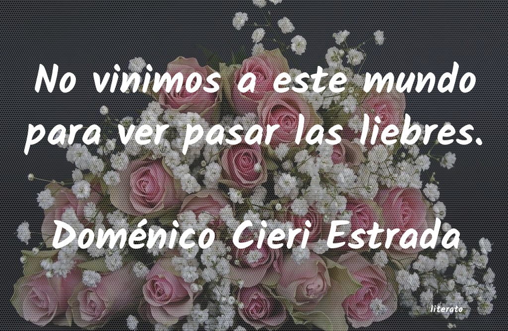 frases de Doménico Cieri Estrada