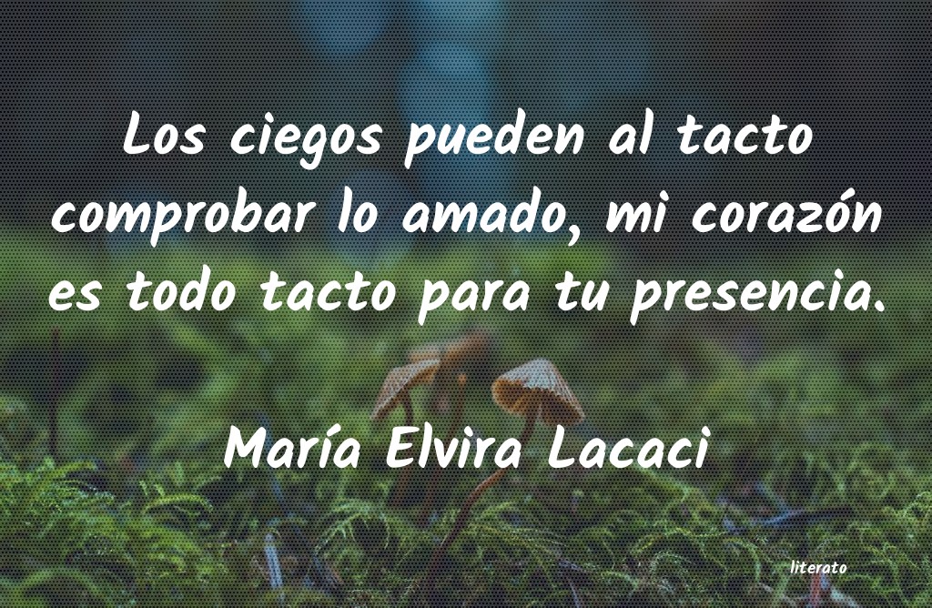 Frases de María Elvira Lacaci