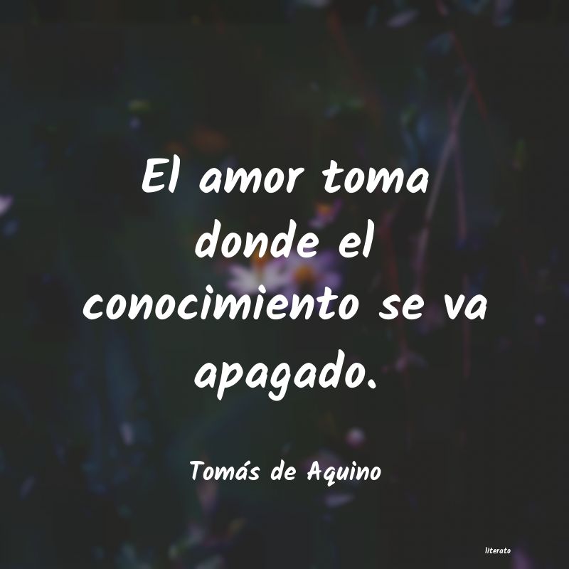 Frases de Tomás de Aquino