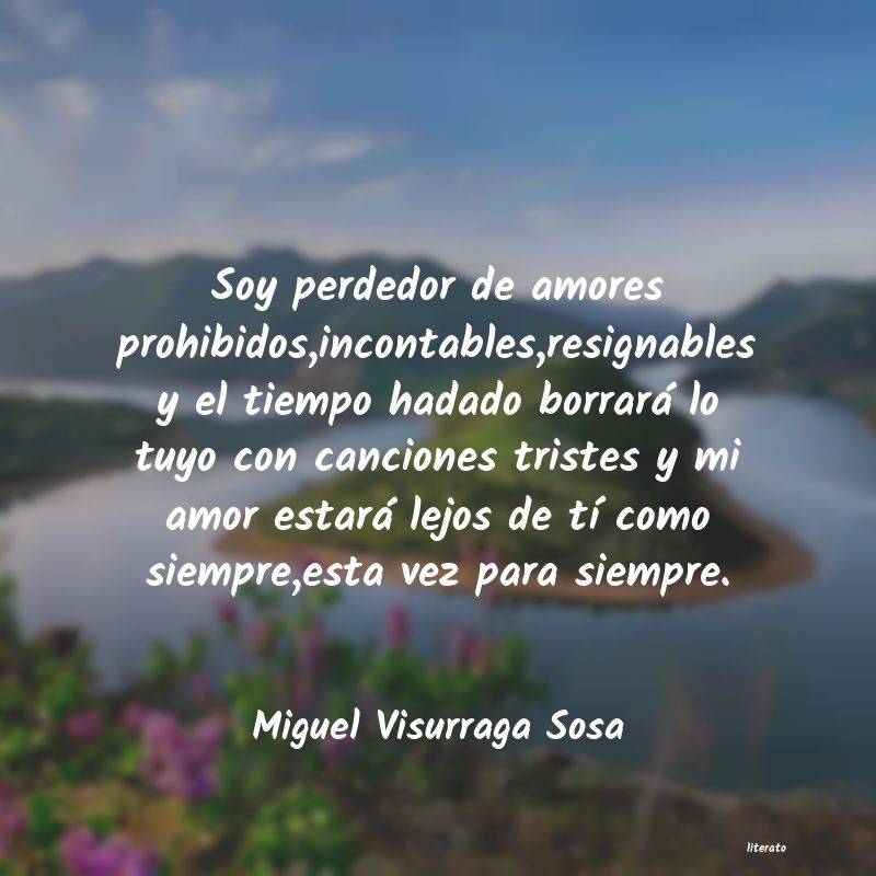 Frases de Miguel Visurraga Sosa