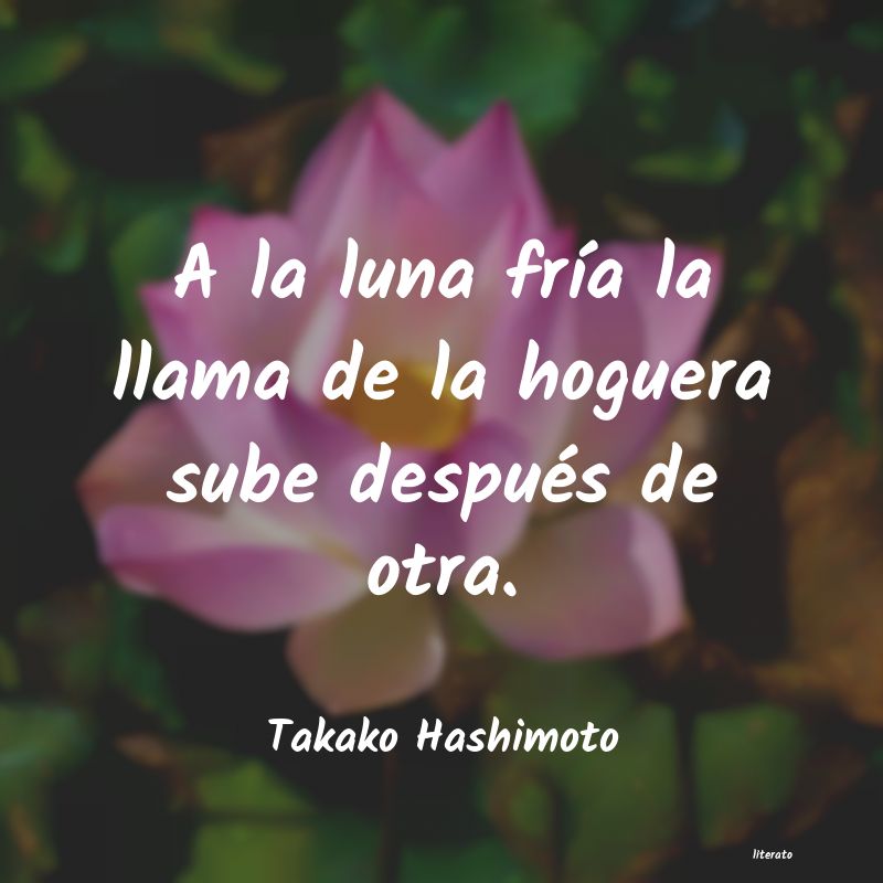 frases de Takako Hashimoto