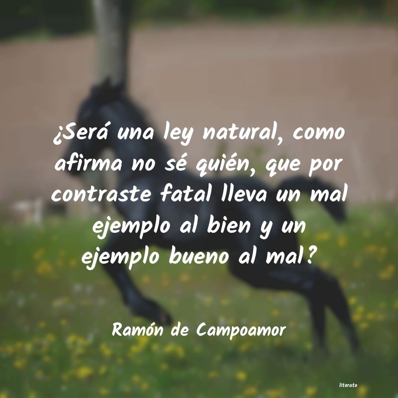 frases de RamÃ³n de Campoamor