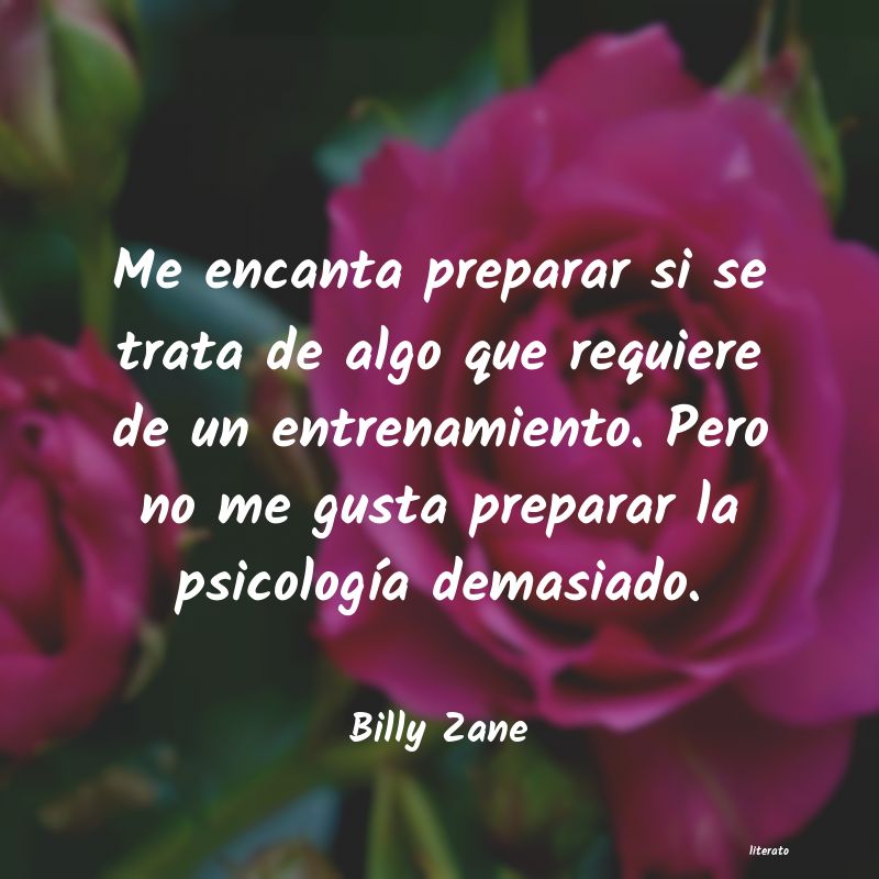 frases de Billy Zane