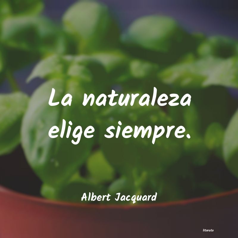 Frases de Albert Jacquard