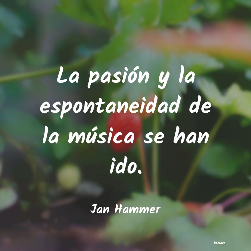 Frases de Jan Hammer