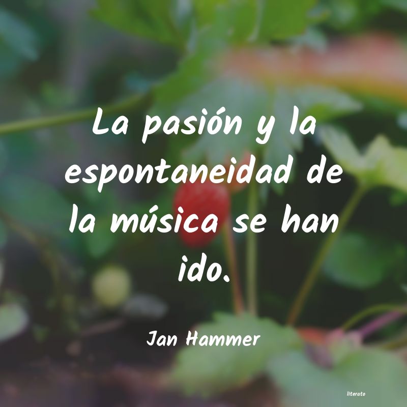 frases de Jan Hammer