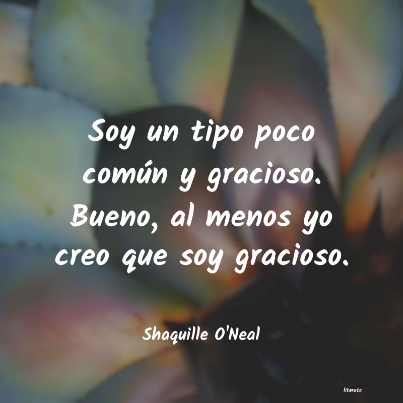 Frases de Shaquille O'Neal