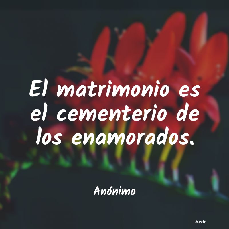 frases
