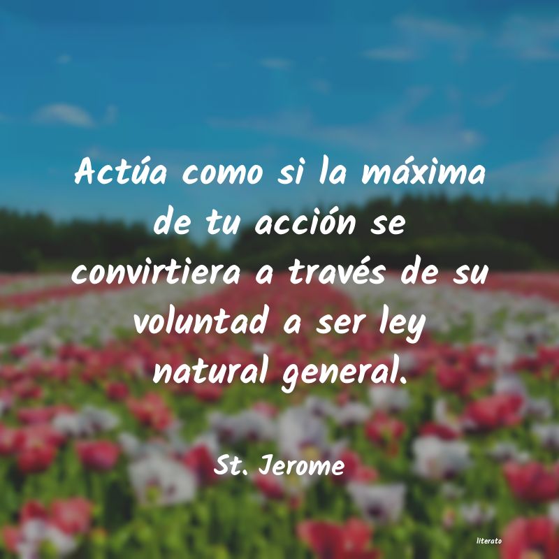 Frases de St. Jerome