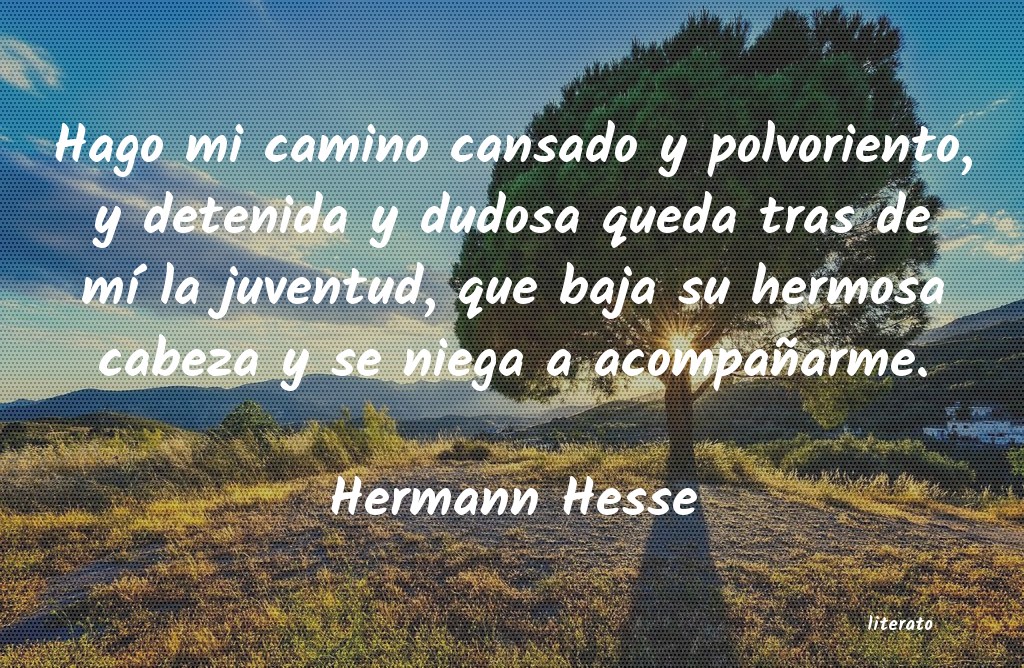 Frases de Hermann Hesse