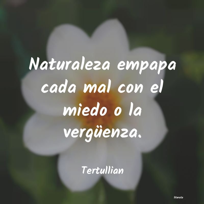 Frases de Tertullian