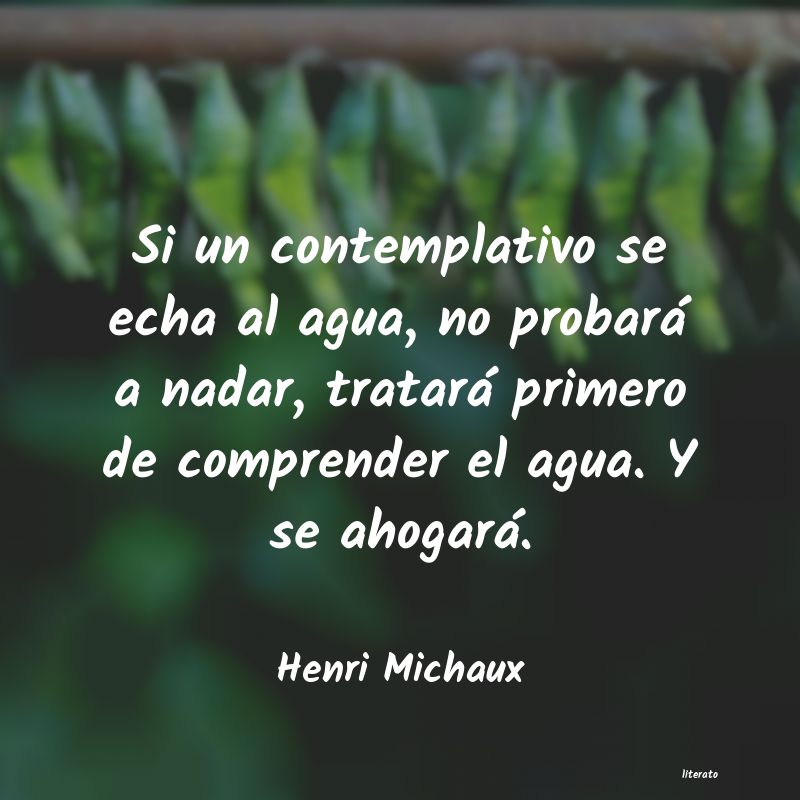 Frases de Henri Michaux