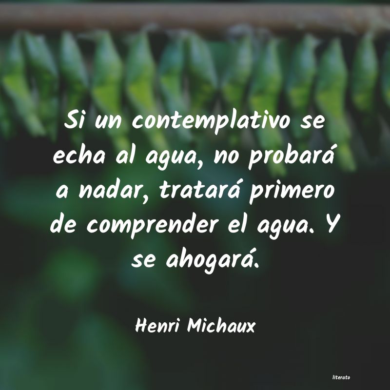 frases de Henri Michaux