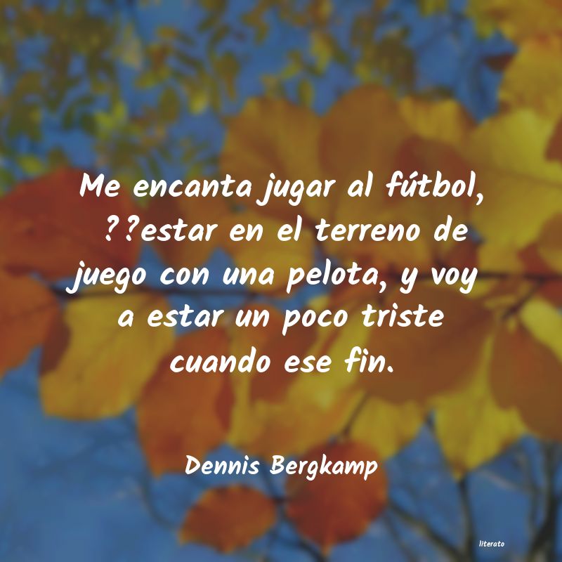 frases de Dennis Bergkamp