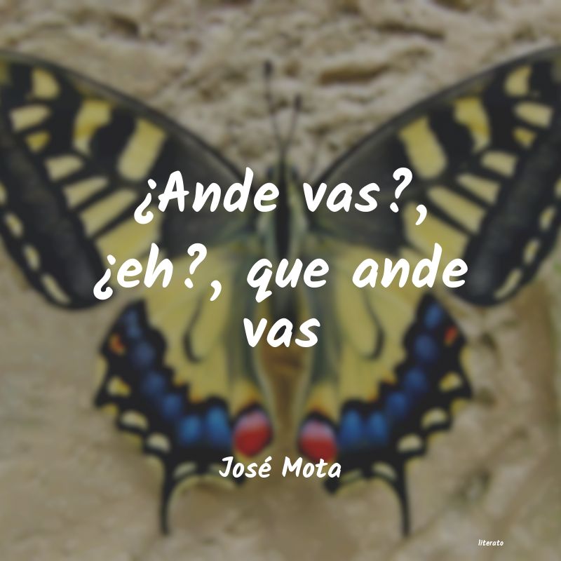 frases de José Mota