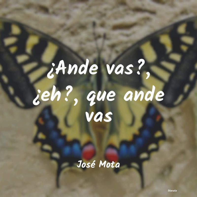 Frases de José Mota